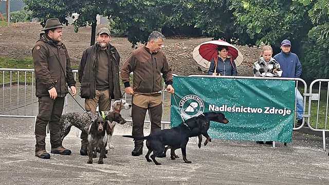 Szczytna, 6.8.2023