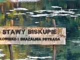 Stawy Biskupie, 22.8.2023