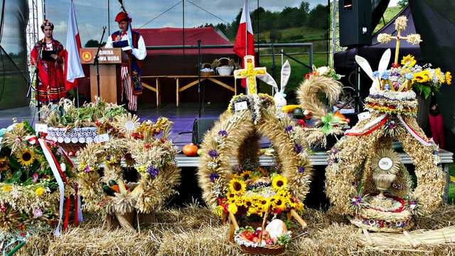Dzikowiec, 26.8.2023