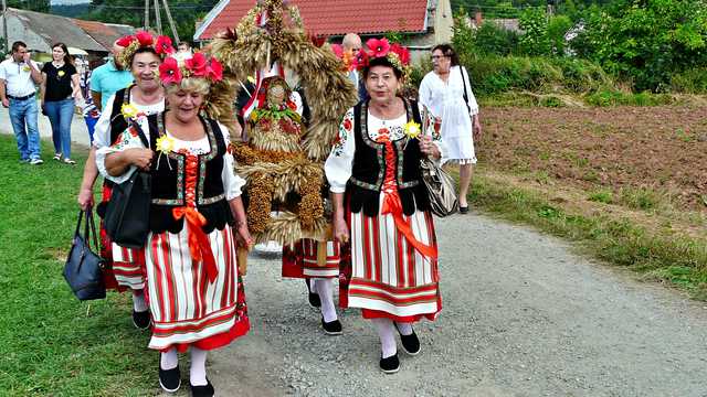 Dzikowiec, 26.8.2023