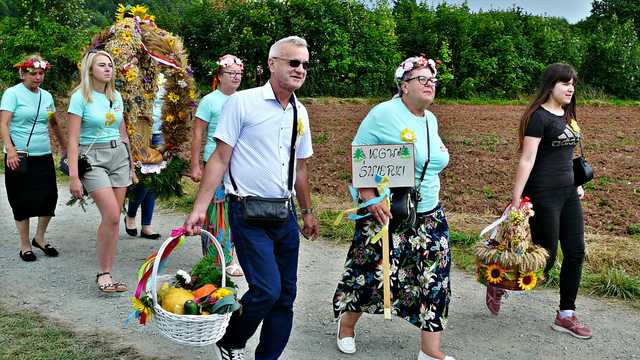 Dzikowiec, 26.8.2023