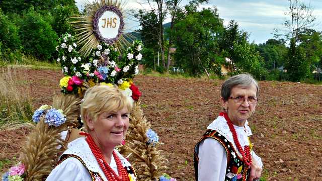 Dzikowiec, 26.8.2023