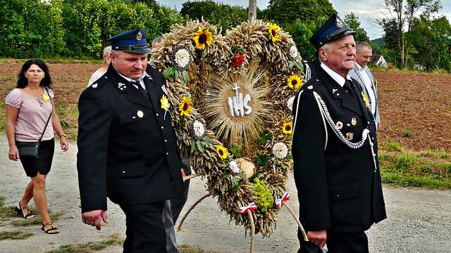 Dzikowiec, 26.8.2023