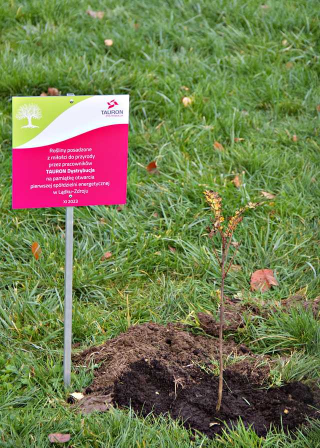 Lądek-Zdrój, 16.11.2023
