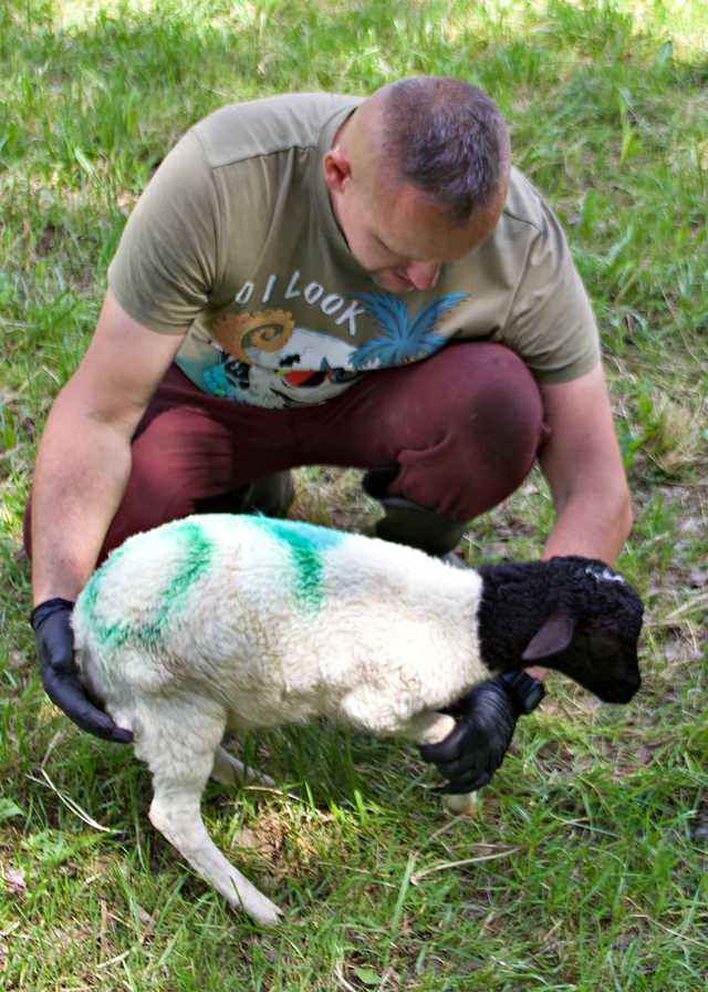 Radochów, 5.6.2024