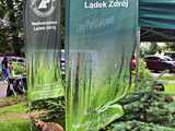 Stronie Śląskie, 8.6.2024