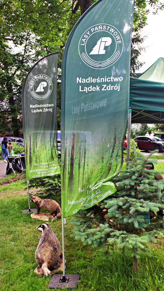 Stronie Śląskie, 8.6.2024