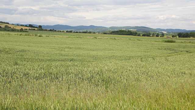 Kamieniec, 15.6.2024