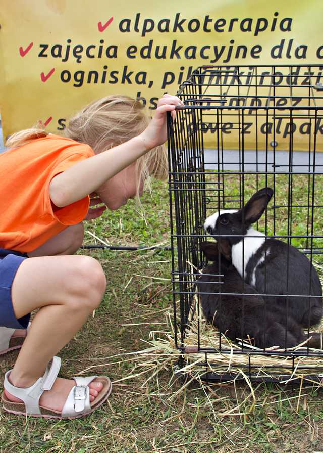 Kamieniec, 15.6.2024