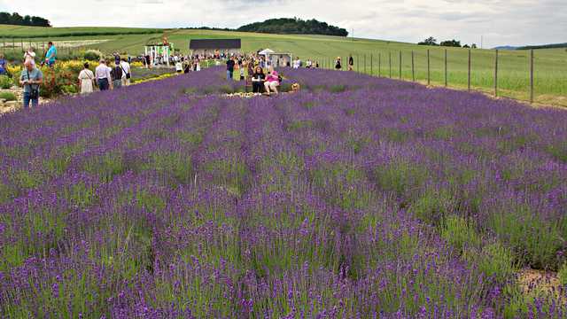 Kamieniec, 15.6.2024
