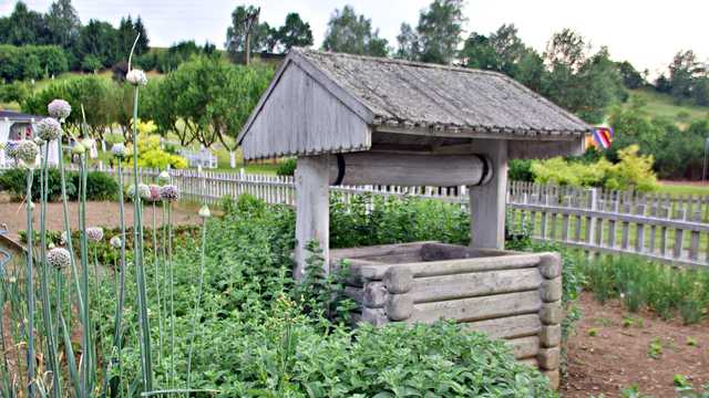 Wolibórz, 30.6.2024