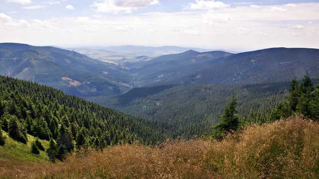 Śnieżnik, 26.7.2024