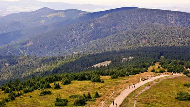 Śnieżnik, 26.7.2024