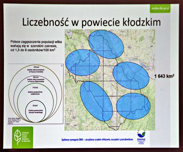 Trzebieszowice, 28.7.2024