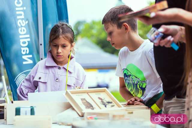 galeria
