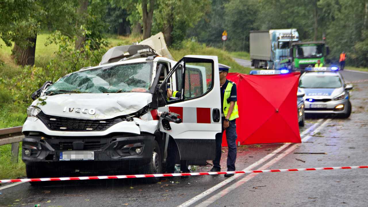 odzamek, 8.8.2024