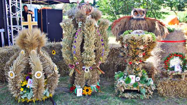 Przygórze, 24.8.2024