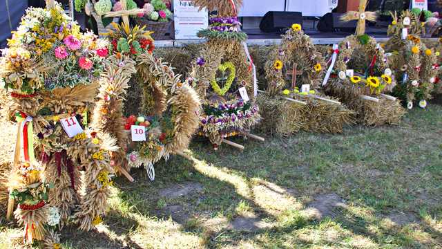 Przygórze, 24.8.2024
