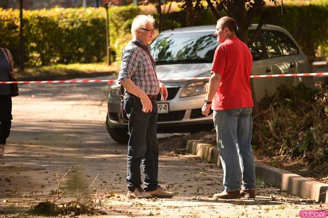 [WIDEO/FOTO] Lądek-Zdrój pogrążony po powodzi. Postapokaliptyczny obraz miasta, które nawiedził żywioł