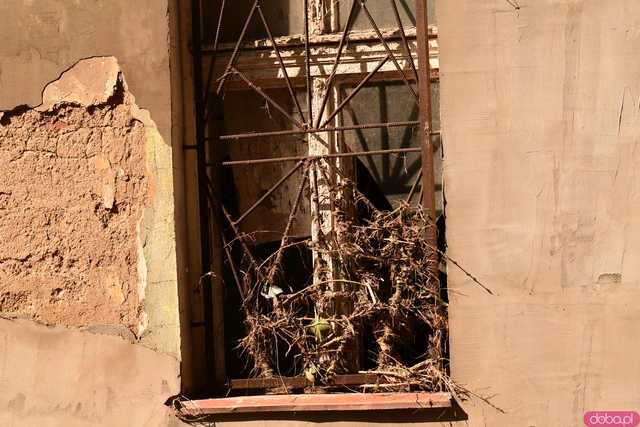 [WIDEO/FOTO] Lądek-Zdrój pogrążony po powodzi. Postapokaliptyczny obraz miasta, które nawiedził żywioł
