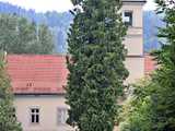 Trzebieszowice, 10.6.2025