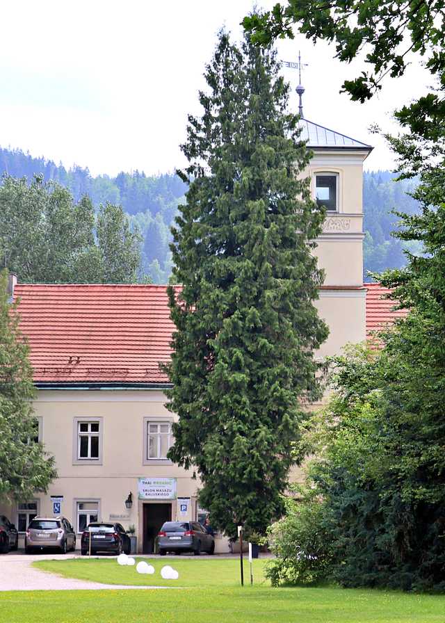 Trzebieszowice, 10.6.2025