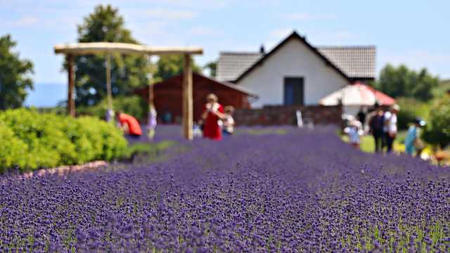 Kamieniec, 21.6.2025