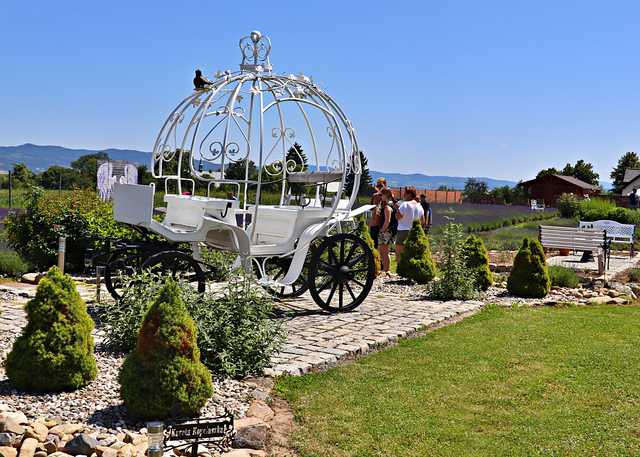Kamieniec, 21.6.2025