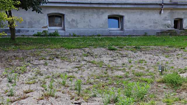Kłodzko, 4.7.2025