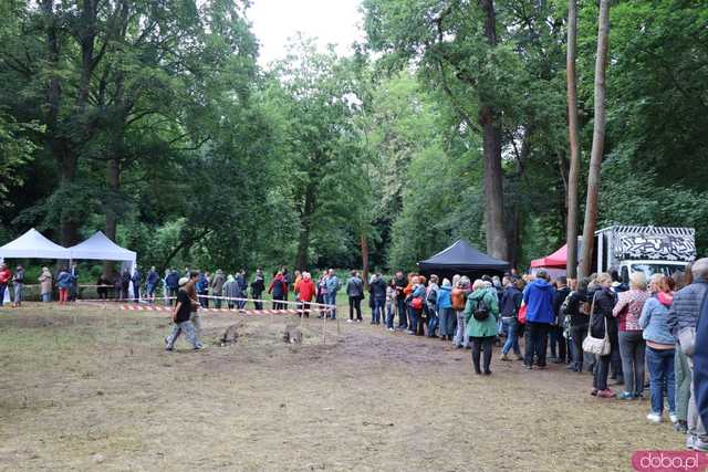 Festiwal Góry Literatury – spotkania, debaty i muzyka w niezwykłej scenerii