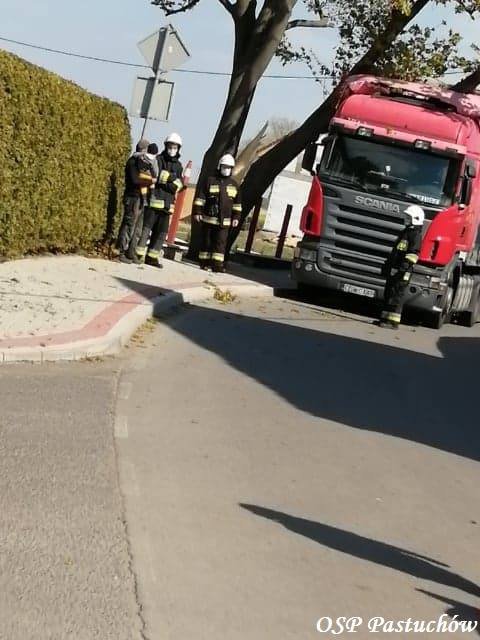 [FOTO] Drzewo przewróciło się na samochód ciężarowy
