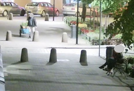 [FOTO] Pod okiem miejskiej kamery kradł iglaki a później chciał je sprzedać