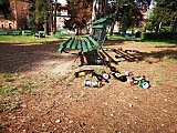 Sprzątamy Park miejski w Żarowie