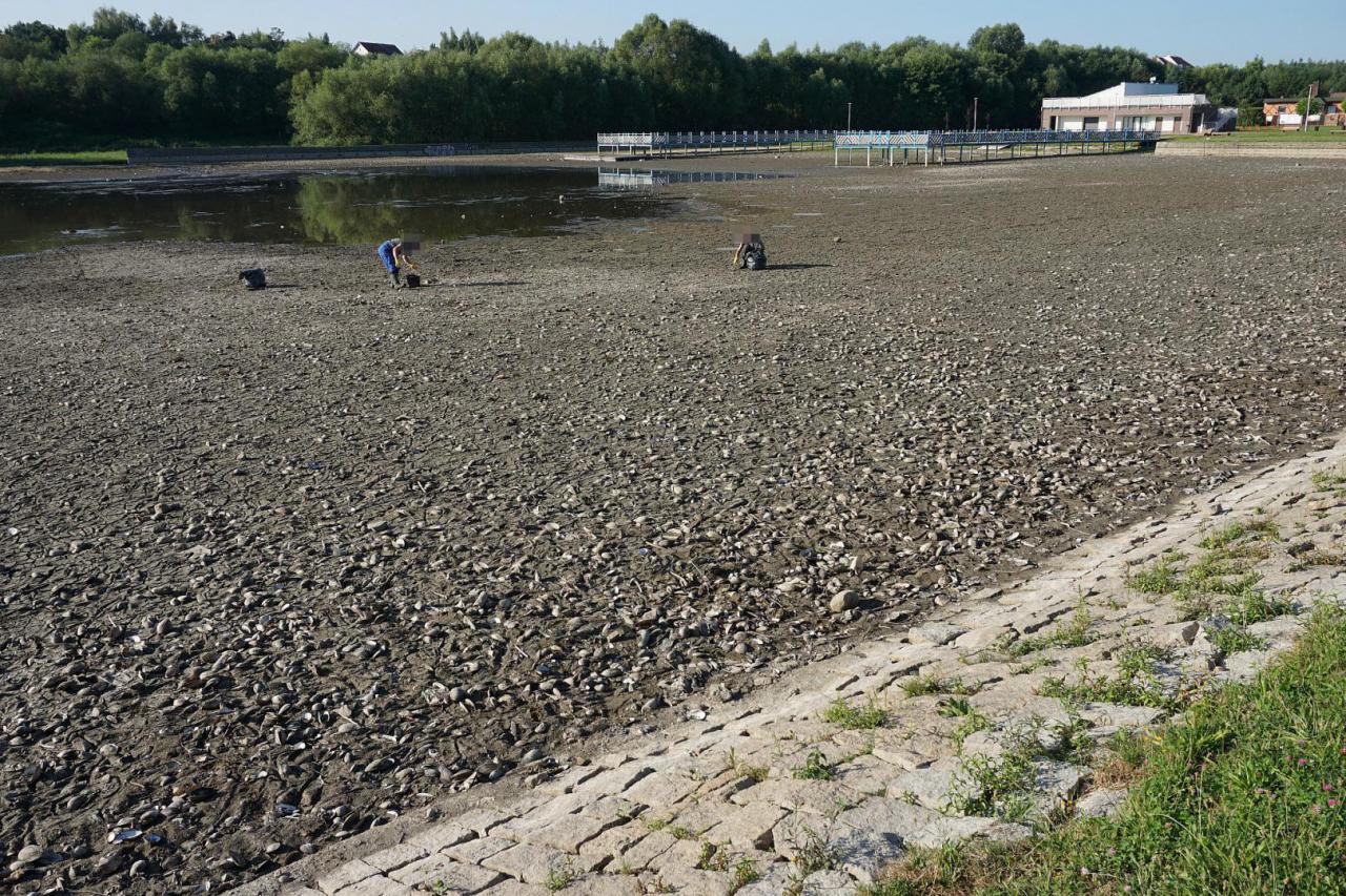 [FOTO] Prokurator na terenie zalewu. Pracownicy Wód Polskich oczyszczają akwen z martwych małż