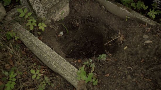 [WIDEO] Ktoś rozkopał grób szukając skarbów. Zaskakujące odkrycie na poniemieckim cmentarzu
