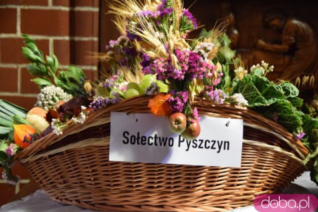 [FOTO] Msza dziękczynna w Żarowie