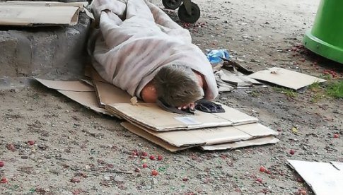 Bezdomni zmorą Świdnicy