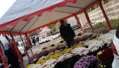 Ogrodnicy i sprzedawcy apelują: pomóżcie i kupcie od nas kwiaty!