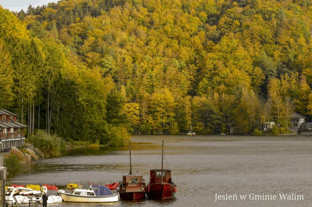 [FOTO] Jezioro Bystrzyckie malowane jesienią