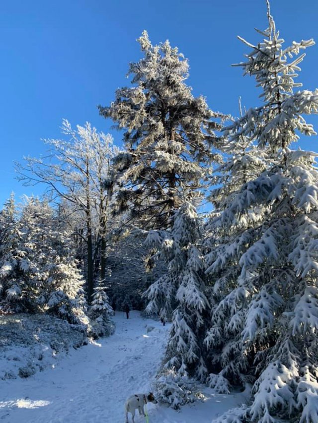 To Narnia? Nie. Góry Sowie!