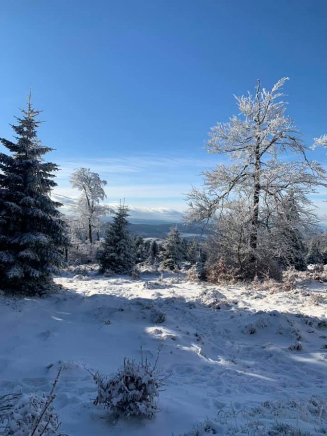To Narnia? Nie. Góry Sowie!