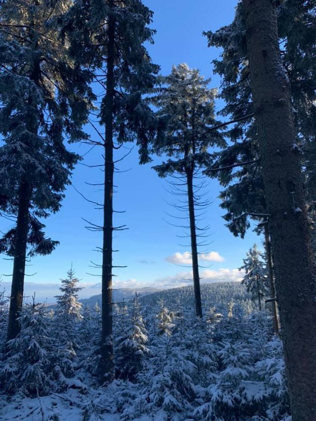 To Narnia? Nie. Góry Sowie!