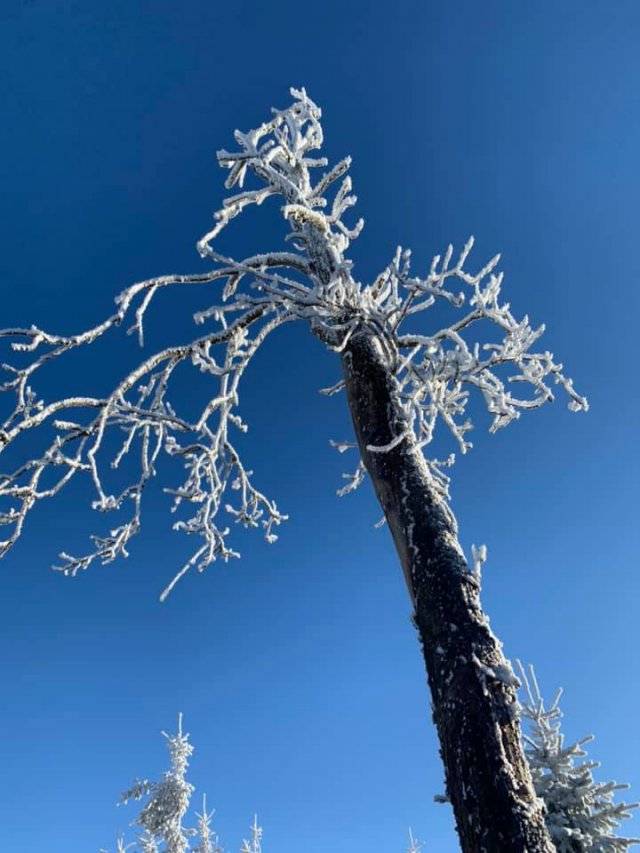 To Narnia? Nie. Góry Sowie!
