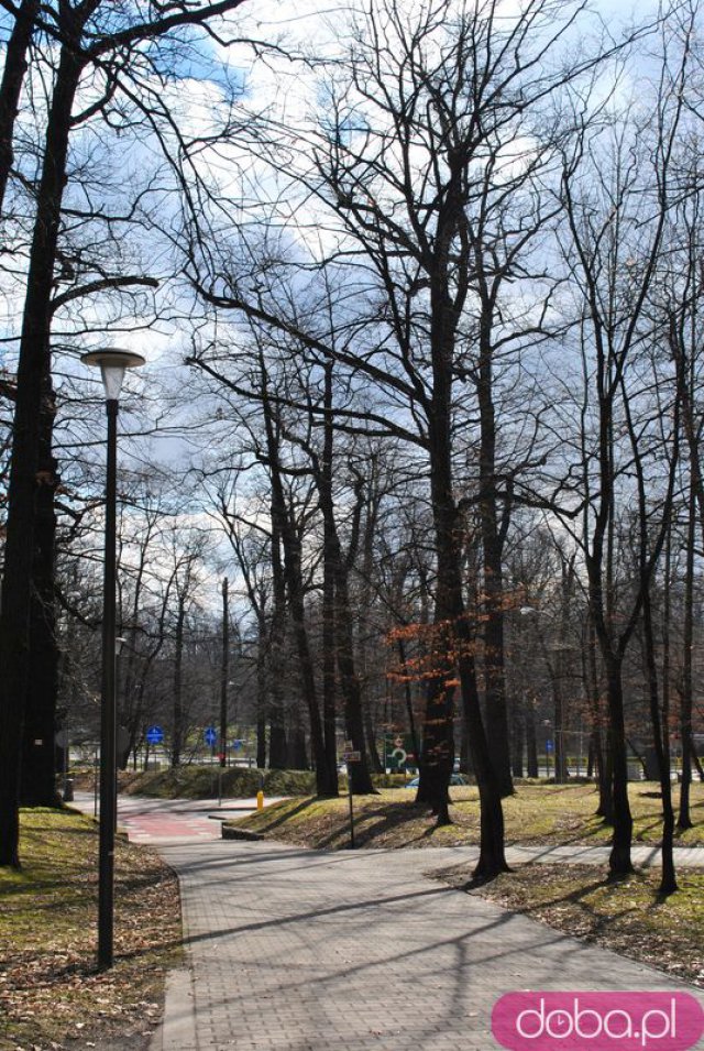 [FOTO] Migawki z miasta: Park im.Jana Kasprowicza