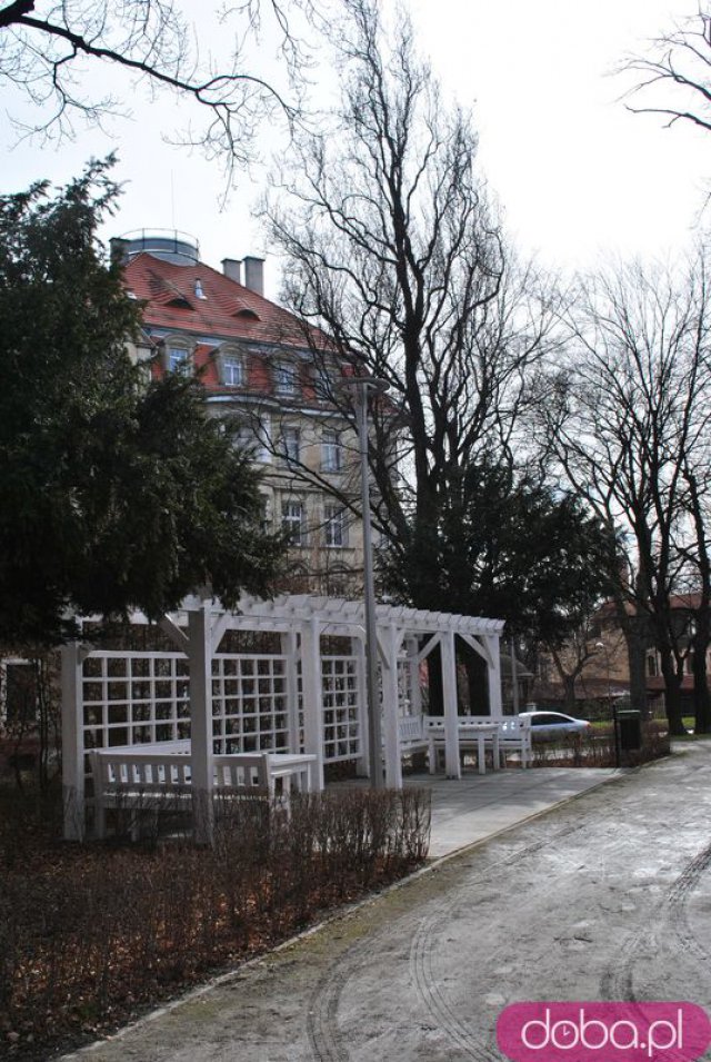 [FOTO] Migawki z miasta: Ogród Różany