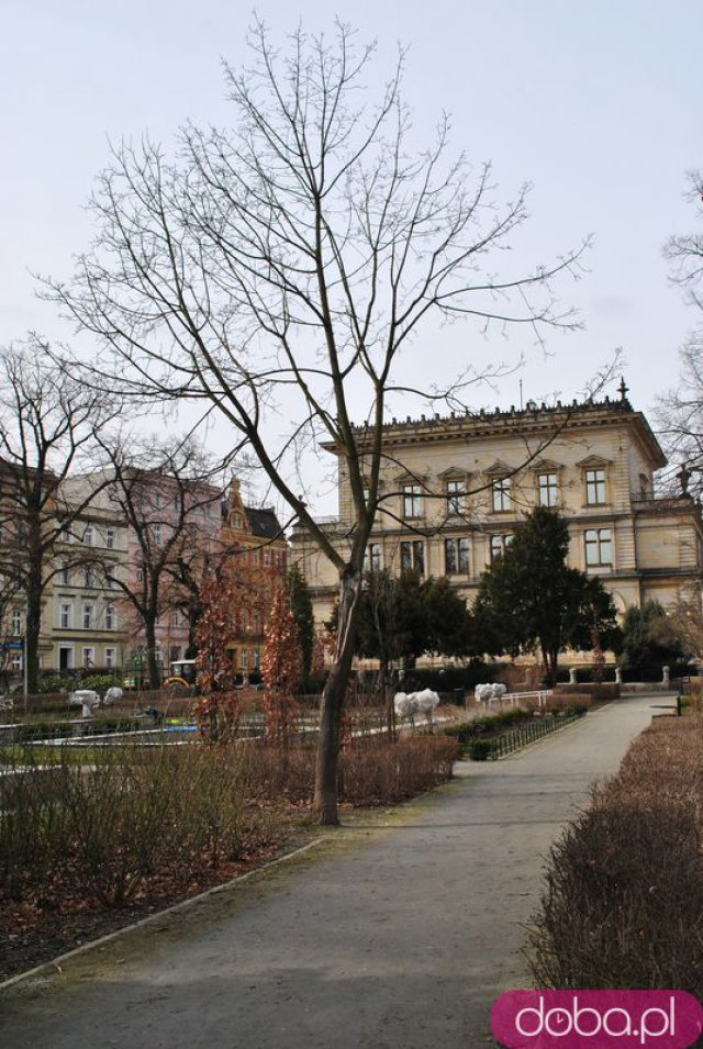 [FOTO] Migawki z miasta: Ogród Różany