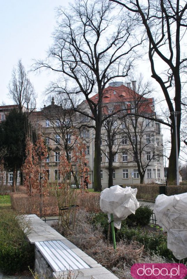 [FOTO] Migawki z miasta: Ogród Różany
