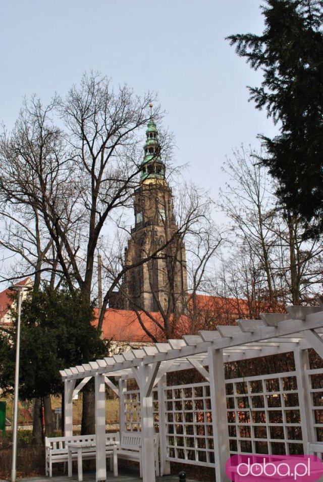 [FOTO] Migawki z miasta: Ogród Różany