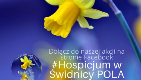 Pola Nadziei dla Hospicjum w Świdnicy
