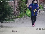 [FOTO] W oku kamer zrywała kwiaty z parkowych klombów